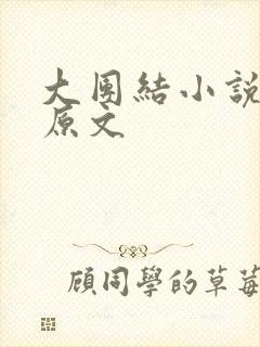 大团结小说阅读原文