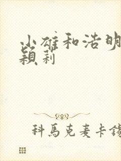 小雄和浩明夹击颖莉