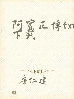 阿宾正传txt下载