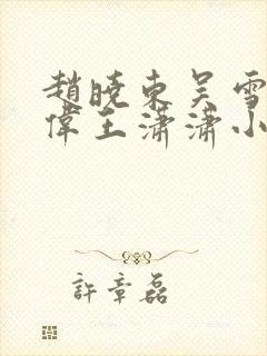 赵晓东吴雪晴郑伟王潇潇小说