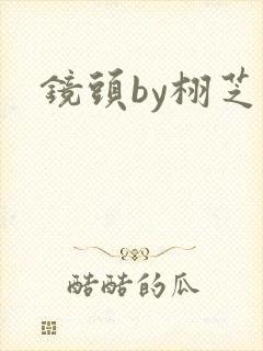 镜头by栩芝