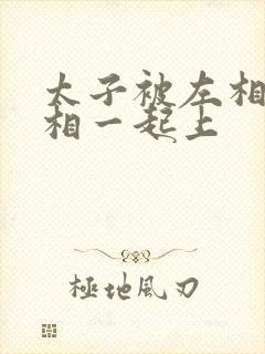 太子被左相和右相一起上