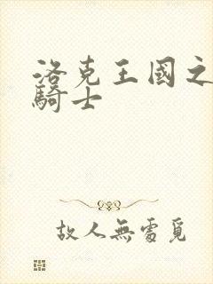 洛克王国之圣龙骑士