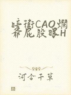 暗卫CAO烂王爷屁股眼H