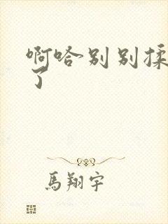 啊哈别别揉那处了封面