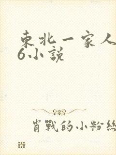 东北一家人1一6小说