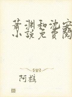 萧渊和沈安安的小说免费阅读封面