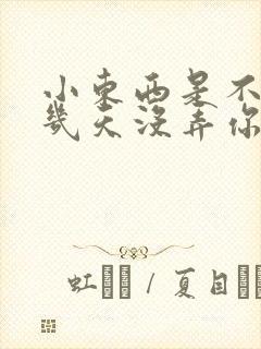 小东西是不是好几天没弄你了