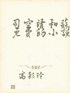 司空靖和苏月汐免费的小说笔趣阁