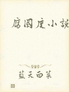 腐国度小说封面