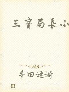 三宝局长小说封面