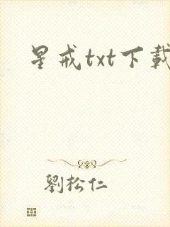 星戒txt下载封面