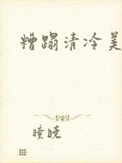 糟蹋清冷美人封面
