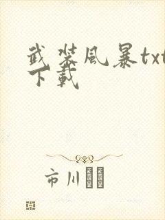 武装风暴txt下载封面
