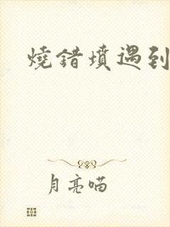 烧错坟遇到鬼封面