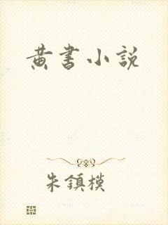 黄书小说
