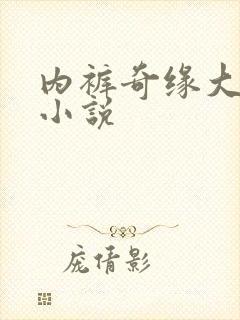 内裤奇缘大团结小说