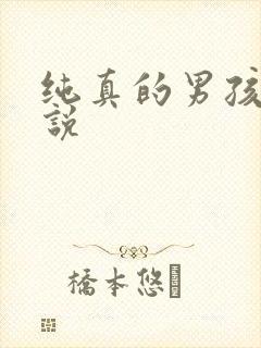 纯真的男孩子小说