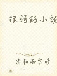 很污的小说