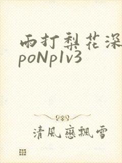 雨打梨花深闭门poNp1v3封面
