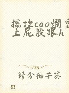 总攻cao烂皇上屁股眼h