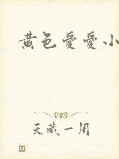 黄色爱爱小说封面