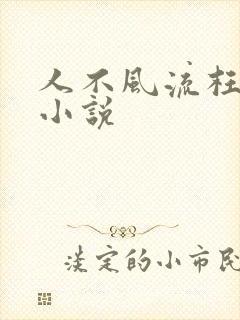 人不风流枉少年小说