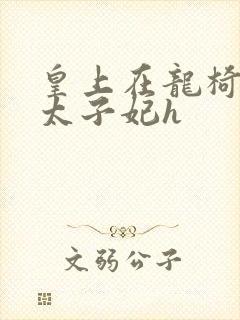 皇上在龙椅上c太子妃h封面