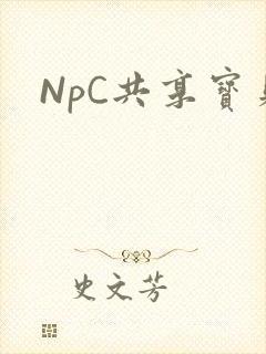 NpC共享宝贝