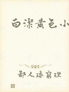 白洁黄色小说