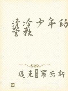 清冷少年的严厉管教
