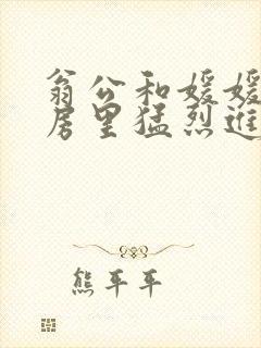 翁公和媛媛在厨房里猛烈进出