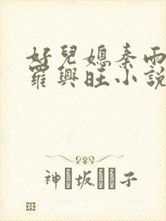 好儿媳秦雨罗明罗兴旺小说