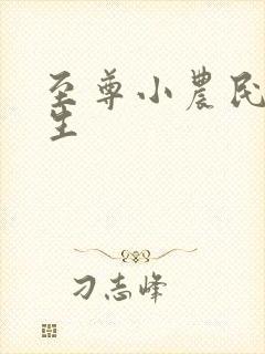 至尊小农民王木生