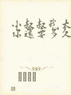 小叔叔我太累了你还要多久封面