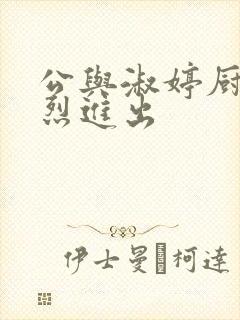 公与淑婷厨房猛烈进出