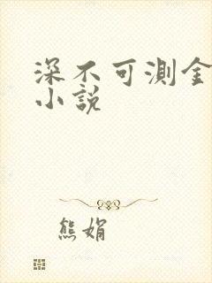 深不可测金银花小说封面