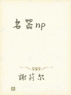 名器np封面