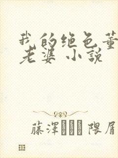 我的绝色董事长老婆 小说