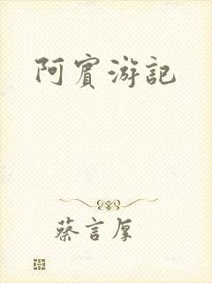 阿宾游记封面