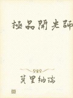极品开光师