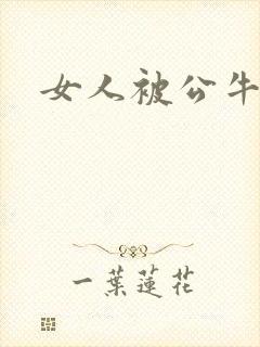 女人被公牛进入封面