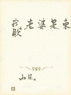 我老婆是东方不败