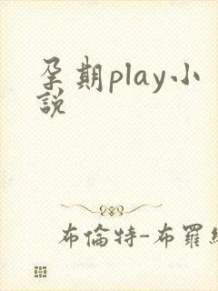 孕期play小说