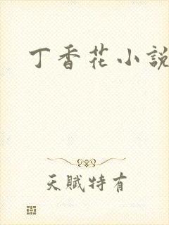 丁香花小说