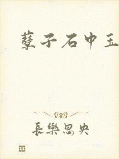 孽子石中玉