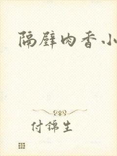 隔壁肉香小说