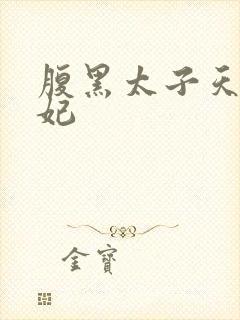 腹黑太子天降萌妃