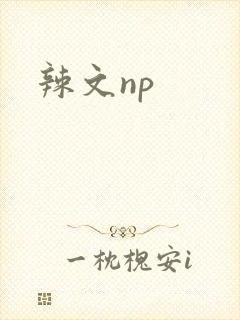 辣文np