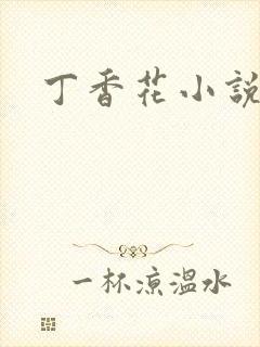 丁香花小说